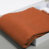 Pure Color Cashmere Scarf