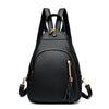 Fashion Women's Double Backpack Multi-functional Travel